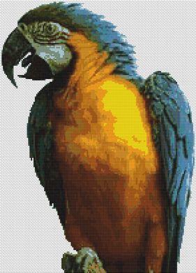 (image for) Blue Macaw